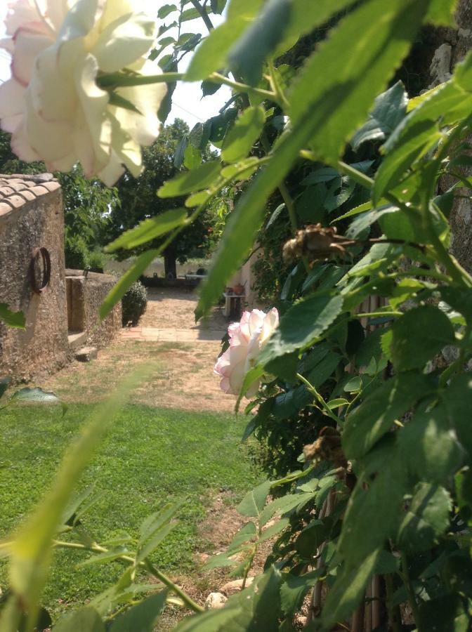 Le Vieux Portail Bed & Breakfast แซงต์-ซาตูร์แน็ง-ดัปต์ ภายนอก รูปภาพ